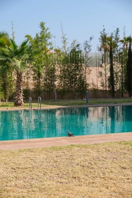 Tres Elegant Avec Piscine Appartement *